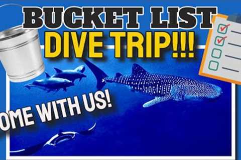 Our epic liveaboard scuba dive trip begins! (What’s on your bucket list?)