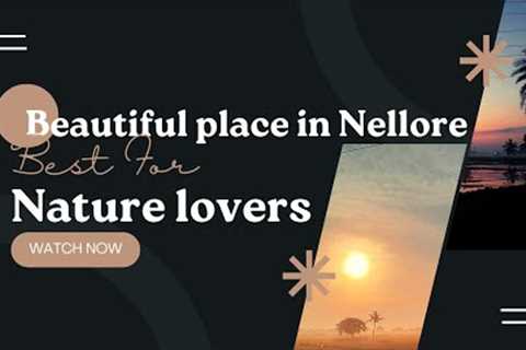Beauty of Nature Sankranti vlog | Nellore vlogs | @Adventureajay