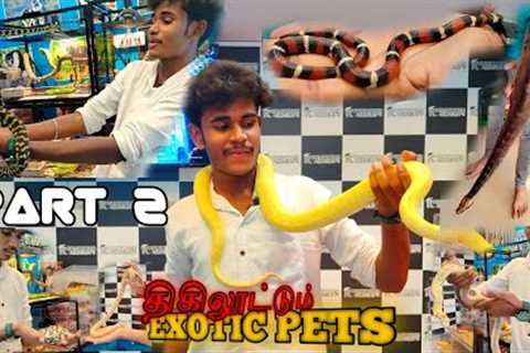 EXPLORING THE BIGGEST EXOTIC PETS COLLECTION| Rare Snakes,i Small Turtle|Karnataka aquarium|tamil