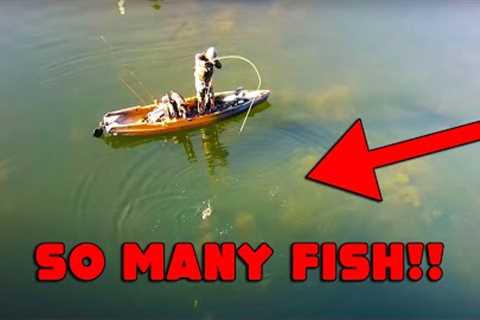 We Were CATCHING FISH EVERY Cast! TROUT Fishing, Catch, Camp, &amp; COOK!! AERIAL BITES Captured!!!