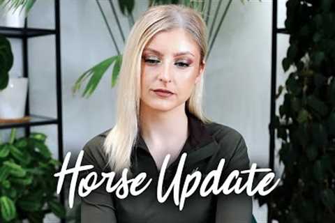 The Horse update you've been waiting for...