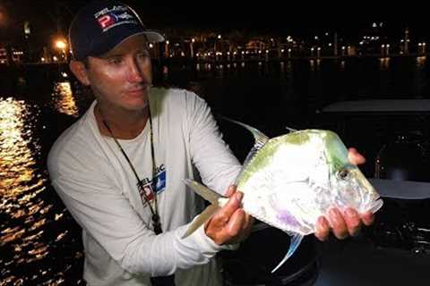 MOONFISH Look Down {Catch Clean Cook} With DINGO!!!