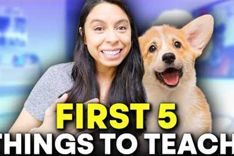 5 MOST Important Things to Train 👉 Start here for faster results!