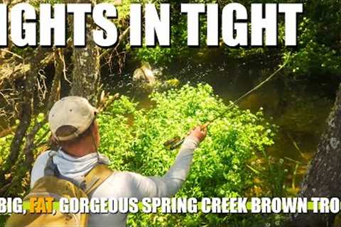 FIGHTS IN TIGHT! Spring Creek Fly Fishing for Big, Fat, Gorgeous Brown Trout in HEAVY Cover