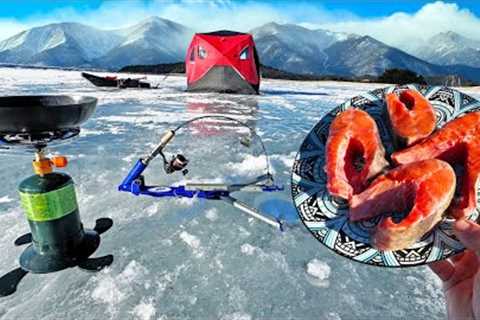 CATCH and COOK while Ice Fishing!! (Delicious Mountain Trout)