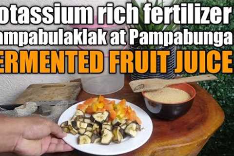 Paano gumawa ng pampabunga na organic Fertilizer FERMENTED FRUIT JUICE - Simplified explanation