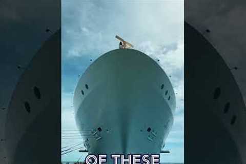 Two of the BIGGEST CRUISE SHIPS in the World!