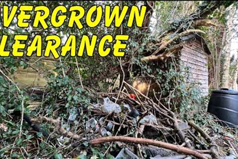 Overgrown Clearance | So Much RUBBISH 🤮| Cutting Down Some Trees Buried In IVY