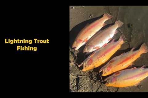Lightning trout fishing big schools at Lake Chabot