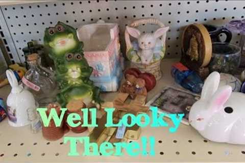This Goodwill Never Disappoints! - Shop Along With Me - Goodwill Thrift Store