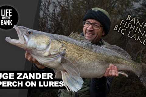 HUGE ZANDER AND PERCH HUNT WITH LURES - Bank fishing massive lakes