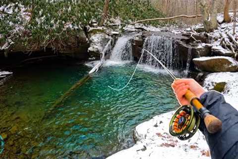 Fly Fishing for Native Brook Trout in a Small Creek! (WINTER TROUT FISHING)