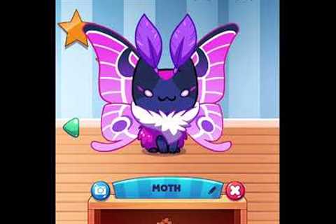 Cat game!!! (download on app store)