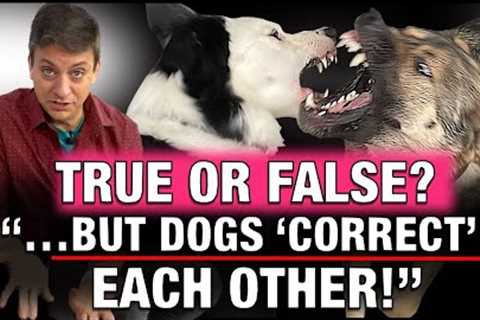 Is THIS The Most Controversial Belief in Dog Training? ￼