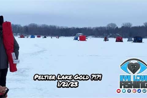 Peltier Lake Gold?!?! - #eyelovefishing #minnesota #mn #fishing #crappies #peltierlake 1/21/23