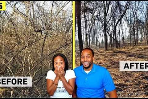 Turning 4 acres of RAW LAND into a BEAUTIFUL community! | Cleaning up the property! | Episode 5