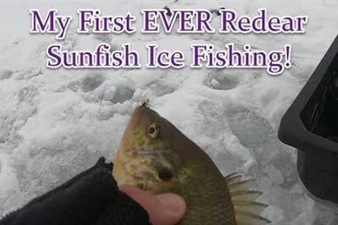 Ice Fishing for Redear Sunfish in Colorado!