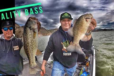 Winter Fishing, Quality not Quantity-Pyramid &amp; Castaic Lake