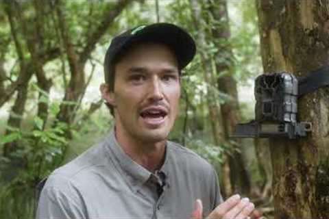 How to set up and use a trail camera (Training Video)