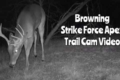 Strike Force Apex: Browning Trail Cam Video Dec. 1-9, 2022