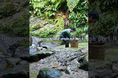 Survival, skills, Journey to catch stream fish, life in the forest part 4