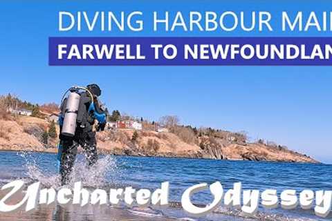 Scuba Diving Harbor Main (4K) | Travel Newfoundland, Canada