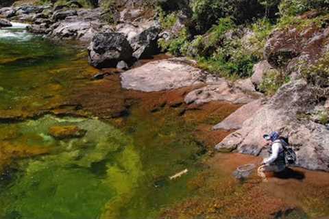 Fly Fishing the Most Beautiful Brown Trout from Amazing River.