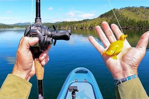 Fishing a DUCKLING Lure in a Mountain Lake (CATCH &amp; COOK) | #FieldTrips South Dakota