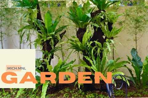 PRACTICAL LANDSCAPE DESIGN IDEAS  (Philippines)