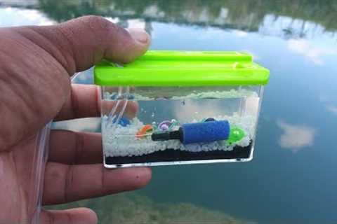 WORLD'S SMALLEST Fish AQUARIUM! (REAL)