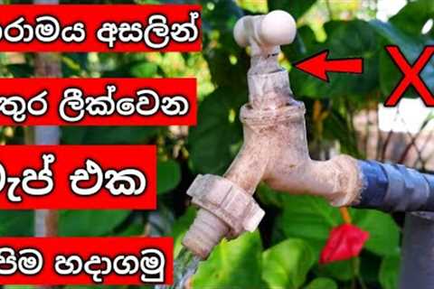 Plumbing Tips | Water tap repair - leaking tap repair