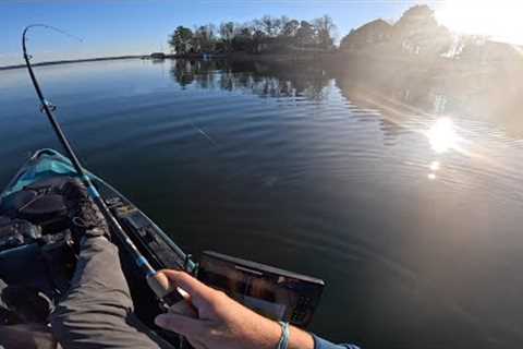 Lake Murray Bass Fishing (Drawdown scouting)