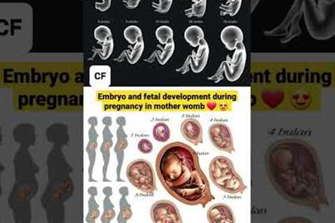 embryo and fetal development during pregnancy ♥  #status #video #motivation #trending #viral #new