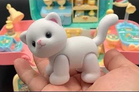 8 minute satisfying with unboxing Cat beauty salon / Toys For Everyone
