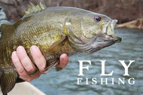 Unbelievable fly fishing experience (Holston River)