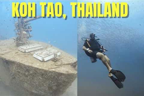 SCUBA DIVING in KOH TAO for 72 Hours 🇹🇭  (Thailand Travel Guide)