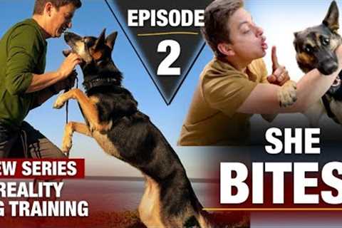 Where to Start with a TOTALLY UNTRAINED DOG: Reality Dog Training Episode 2