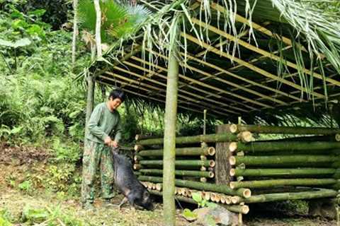 Survival, Skills, Skills to build bamboo houses for wild boars, life in the forest