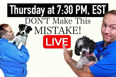 7 Puppy Training Shortcuts That Make Things WORSE!