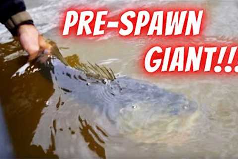 Prespawn Bass Fishing Lake Fork 2023: The Best Fishing Day Of The Year??? Perfect Conditions!