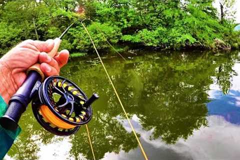 Fly Fishing For Bluegill