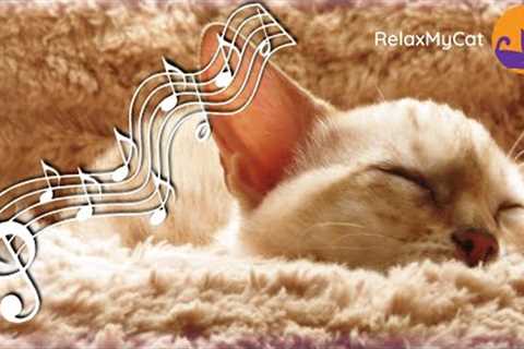 20 HOURS of Music Cats Love - Songs to Soothe Your Cat 🐱💖