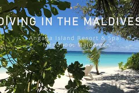 Maldives Scuba Diving - Angaga Island Resort &amp; Spa #maldives #kygo #holiday #travel #vacation