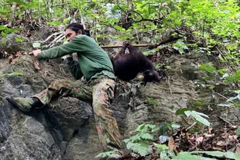 FULL VIDEO : 100 days of survival, skills, chasing wild goats, survival alone