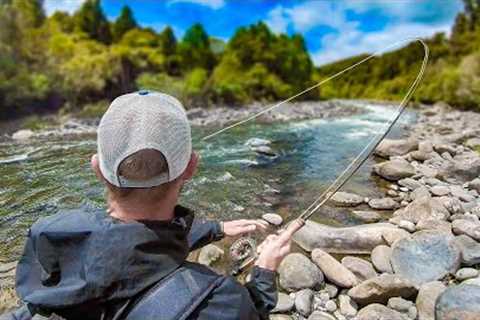 Incredible Fly Fishing for Big Trout in The Best River I've Fished!!