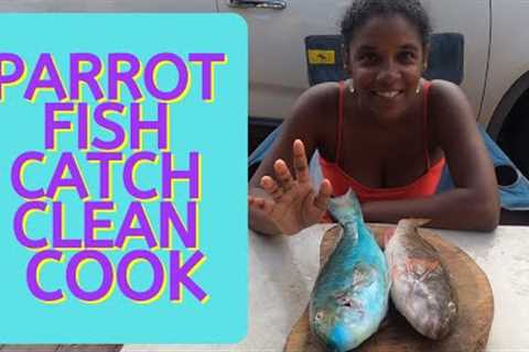 Parrot Fish Catch Clean Cook