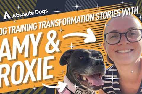 Dog Training Transformation Stories - With Amy and Roxie