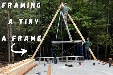 56 rafters and we have a FRAMED tiny AFRAME | Building a A FRAME CABIN