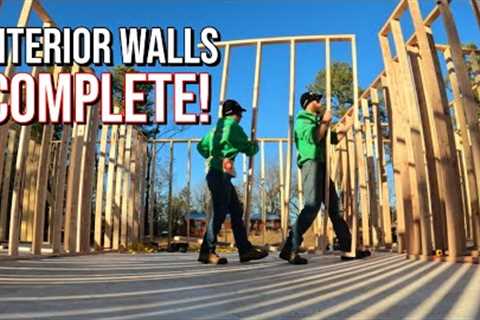 We FINISHED ALL The Interior Walls! | Couple Builds Dream Cabin Homestead Debt Free in the Woods