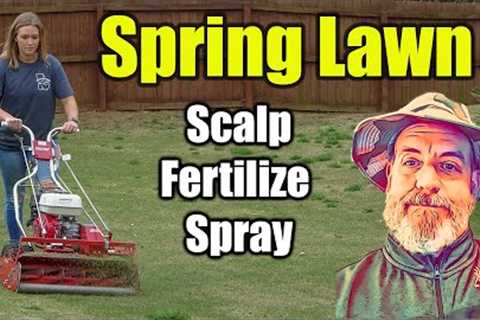 Spring Lawn Care - Quick Green Lawn